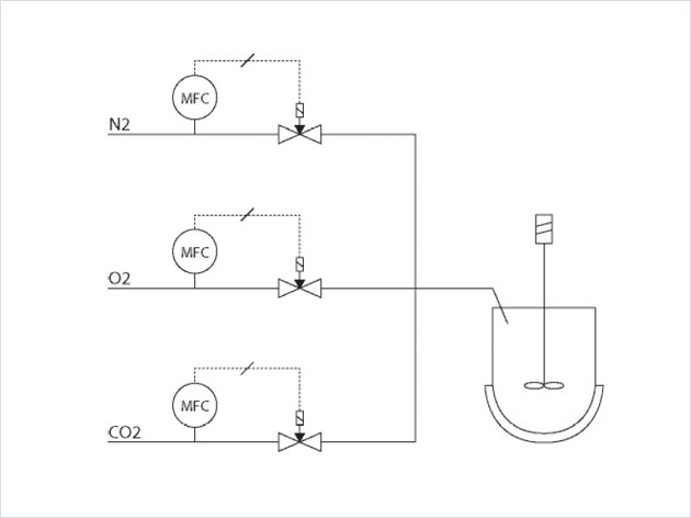 用于細(xì)菌生長(zhǎng)的氣體定量給料工藝方案